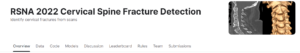 RSNA 2022 Cervical Spine Fracture Detection